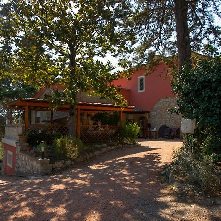 Castelnuovo della Misericordia Agriturismo Terre Della Rinascita מראה חיצוני תמונה