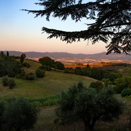 Castelnuovo della Misericordia Agriturismo Terre Della Rinascita מראה חיצוני תמונה