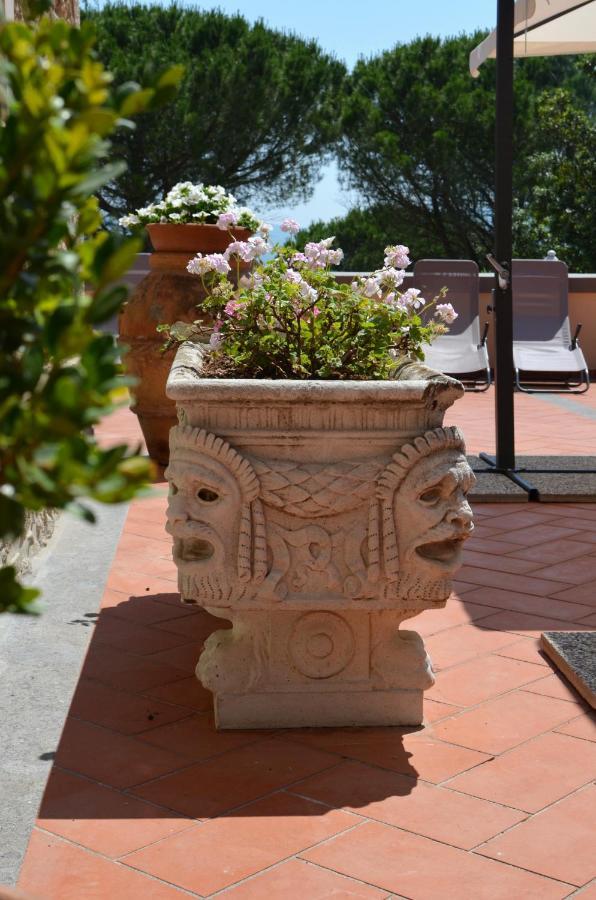 Castelnuovo della Misericordia Agriturismo Terre Della Rinascita מראה חיצוני תמונה