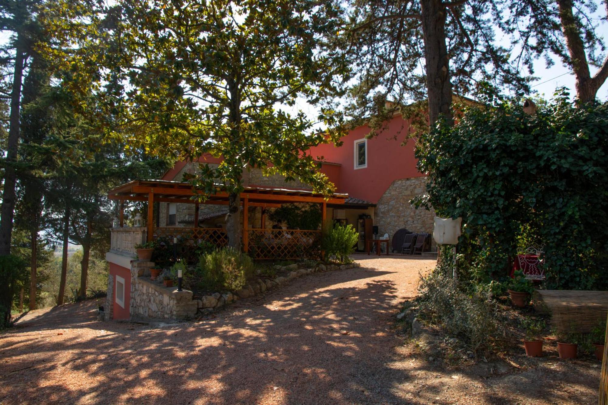 Castelnuovo della Misericordia Agriturismo Terre Della Rinascita מראה חיצוני תמונה