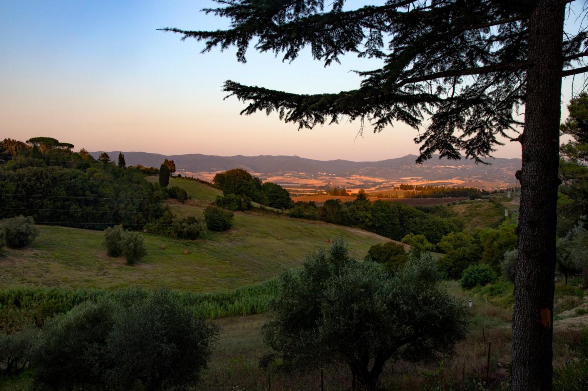 Castelnuovo della Misericordia Agriturismo Terre Della Rinascita מראה חיצוני תמונה