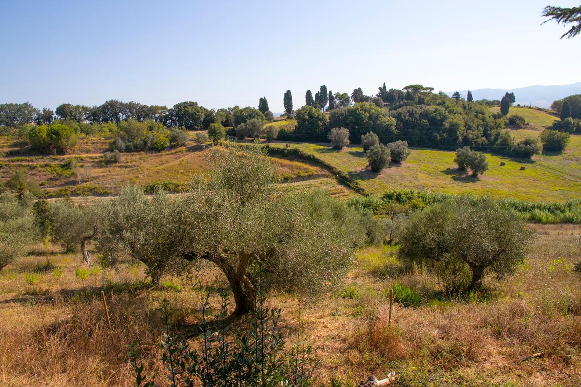 Castelnuovo della Misericordia Agriturismo Terre Della Rinascita מראה חיצוני תמונה