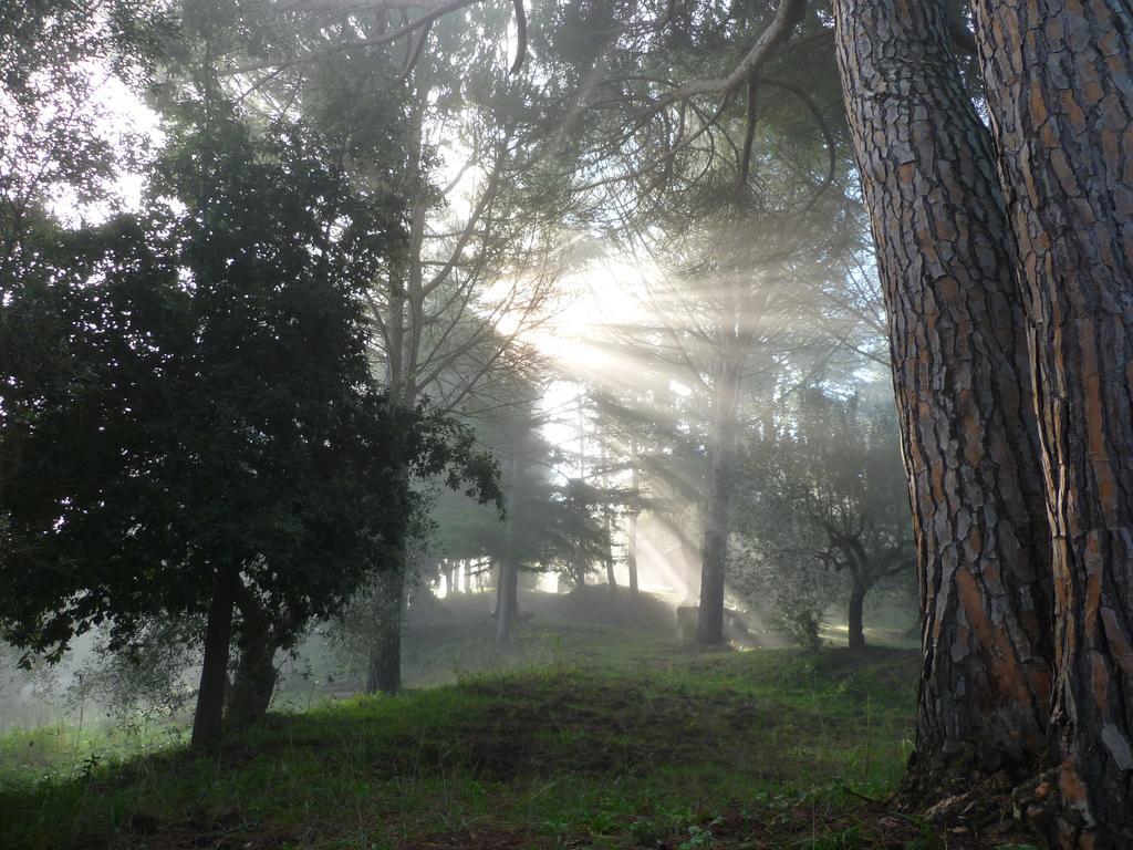 Castelnuovo della Misericordia Agriturismo Terre Della Rinascita מראה חיצוני תמונה